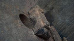 post-9571-0-84511900-1360172724_thumb.jp