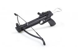 post-9760-0-20838800-1362040146_thumb.jp