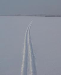 post-10462-0-91344000-1392811072_thumb.j