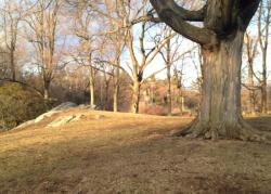 post-13262-0-12098800-1391370197_thumb.j