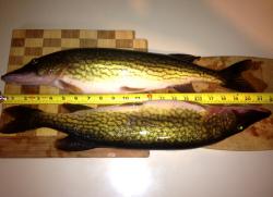 post-13262-0-25894400-1391370802_thumb.j