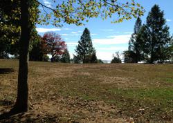 post-13262-0-57790100-1392171526_thumb.j