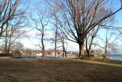 post-13262-0-67085300-1391369987_thumb.j