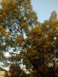 post-19230-0-19805900-1393227961_thumb.j