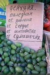 post-19230-0-38575500-1392570797_thumb.p