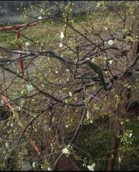 post-19230-0-93659100-1393068345_thumb.j