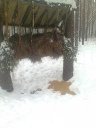 post-2401-0-56357200-1393348635_thumb.jp