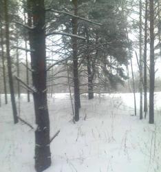 post-2401-0-91598400-1393349018_thumb.jp