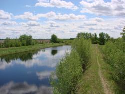 post-24568-0-17473000-1393477900_thumb.j