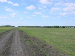 post-24568-0-29952300-1393477930_thumb.j