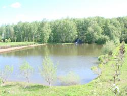 post-24568-0-75502100-1393477948_thumb.j