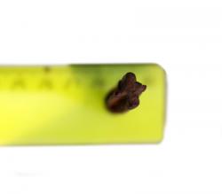 post-26309-0-72617500-1392958219_thumb.j