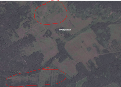 post-27375-0-68899400-1393493423_thumb.p