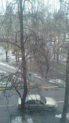 post-27375-0-92895000-1392733650_thumb.j