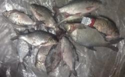 post-27646-0-11824100-1392784343_thumb.j