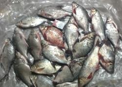 post-27646-0-20620100-1392227731_thumb.j