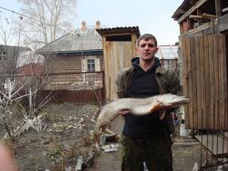 post-27646-0-78476400-1391247086_thumb.j