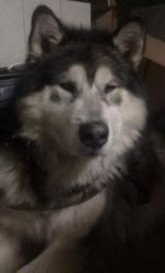 post-27646-0-99594400-1392784351_thumb.j