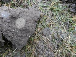 post-27675-0-14215600-1393152971_thumb.j