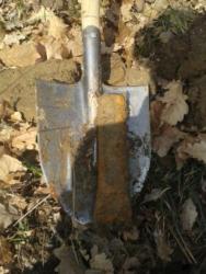 post-27737-0-47510600-1393312575_thumb.j