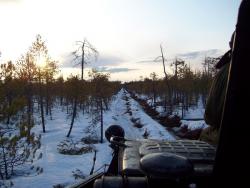 post-2863-0-00609100-1393259164_thumb.jp