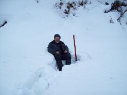 post-2863-0-29255500-1393259400_thumb.jp