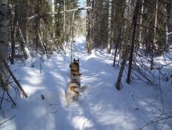 post-2863-0-36688400-1393259176_thumb.jp