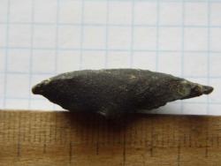 post-29436-0-92158500-1393070420_thumb.j