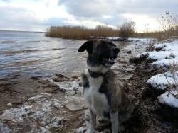 post-29721-0-80626800-1391982733_thumb.j