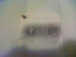 post-30283-0-28147000-1391785704_thumb.j