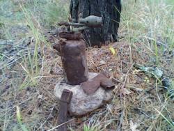 post-30551-0-25597500-1392394665_thumb.j