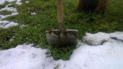 post-4840-0-49411500-1393254654_thumb.jp