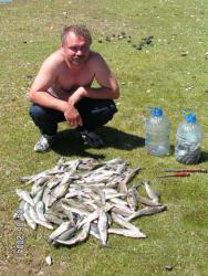 post-6447-0-01064400-1392391410_thumb.jp