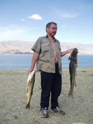 post-6447-0-34017400-1392391399_thumb.jp