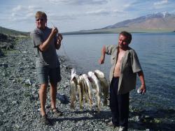 post-6447-0-52638300-1392391389_thumb.jp