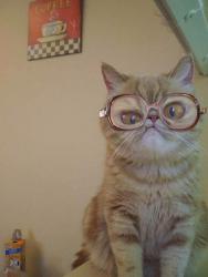 post-10063-0-56288800-1423240119_thumb.j