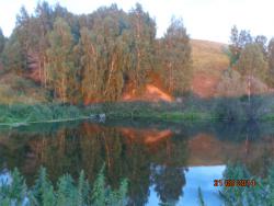 post-10547-0-56864200-1423396813_thumb.j