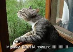 post-11805-0-09543500-1425147759_thumb.j