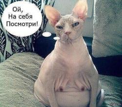 post-11805-0-30718500-1423357250_thumb.j