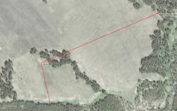 post-1248-0-25287800-1424445584_thumb.jp