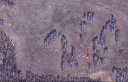 post-1248-0-36408600-1424445733_thumb.jp