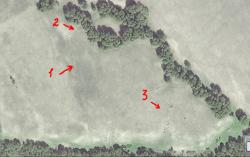 post-1248-0-58168200-1424445331_thumb.jp