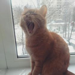 post-14555-0-40944500-1423846949_thumb.j