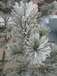 post-1724-0-01820700-1423396928_thumb.jp