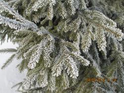 post-1724-0-61668700-1423396936_thumb.jp