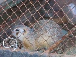 post-24568-0-97232400-1424550116_thumb.j