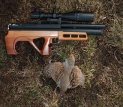 post-26309-0-02538200-1423339919_thumb.j