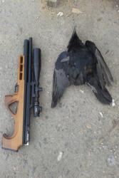 post-26309-0-04082500-1423341704_thumb.j