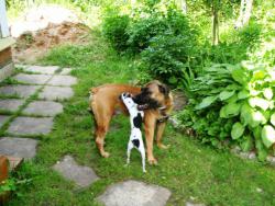 post-26941-0-01513900-1423826514_thumb.j