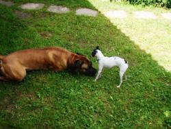 post-26941-0-07080900-1423826464_thumb.j